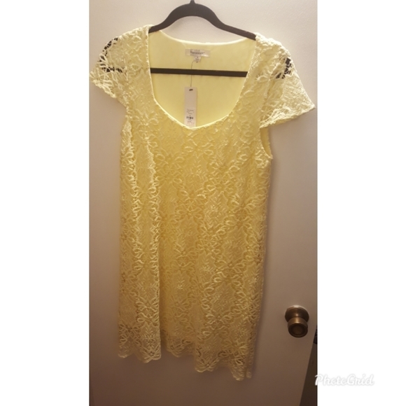 Lace Dress! - Picture 1 of 2